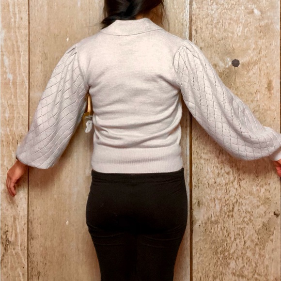 NWT Sweater crop puffy sleeves lace v neck collar, Ryegrass - Picture 4 of 10